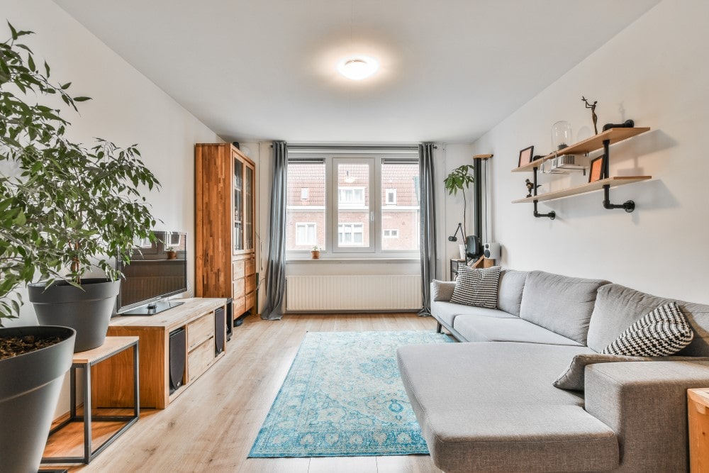 cozy-living-room-modern-apartment-min