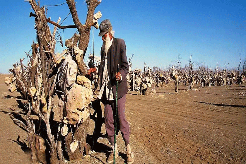 باغ سنگی سیرجان