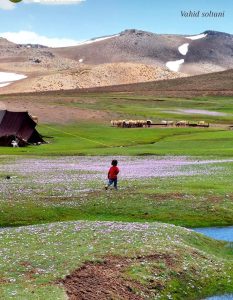 تخت سرتشتک هنزا رابرـ برترین مقاصد طبیعت گردی کرمان تور یکروزه تخت سرتشتک رابر